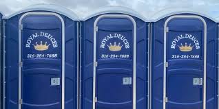 Best Eco-Friendly Portable Toilets  in Daisetta, TX